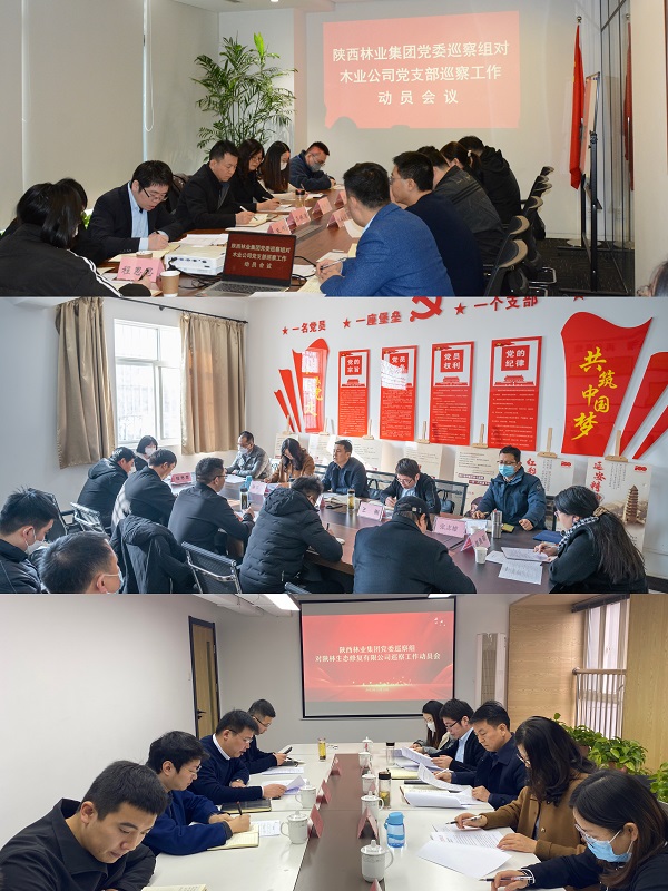 1671174934959780.jpg c121911cd5e419c31a67bf67b1b5bc3.jpg