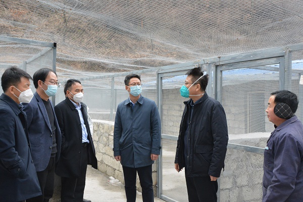 1673851373661514.jpg e7e2144f88c4611cbcad7d56900f24d.jpg